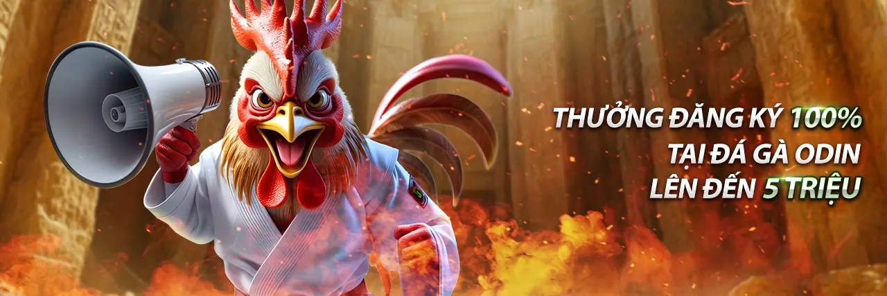 Đá gà trực tiếp tại vip88